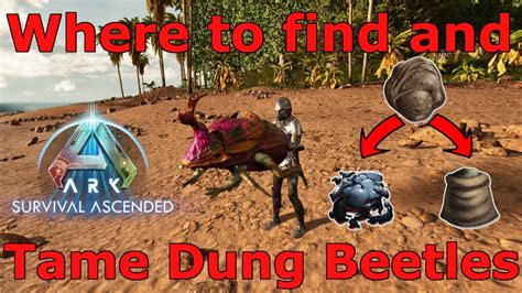 ark spawn tamed dung beetle.